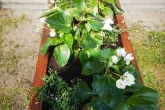 IMG-20240426-WA0050