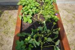 IMG-20240426-WA0052