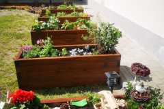 IMG-20240426-WA0053