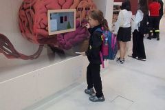 IMG-20250426-WA0009