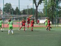 IMG_0273 (Copy)