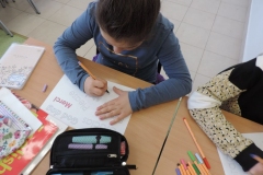 DSCN6661