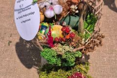 WhatsApp-Image-2026-03-27-at-16.48.46-1