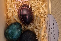 WhatsApp-Image-2026-03-27-at-16.48.47-3