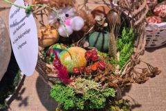 WhatsApp-Image-2026-03-27-at-16.54.27