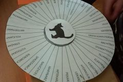 WhatsApp-Image-2025-11-28-at-07.26.56-1