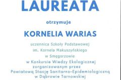 20250429080739914_0002