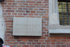 DSCN7009