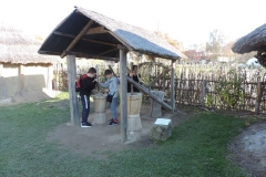 DSCN7126