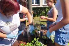 IMG-20240603-WA0002