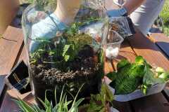 IMG-20240603-WA0003
