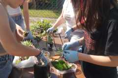 IMG-20240603-WA0006