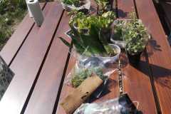 IMG-20240603-WA0008