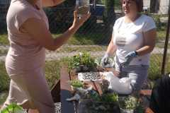 IMG-20240603-WA0009