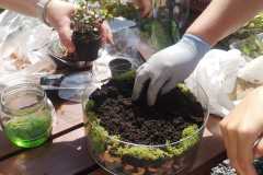 IMG-20240603-WA0012