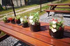 IMG-20240603-WA0016