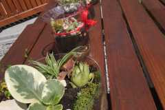 IMG-20240603-WA0017
