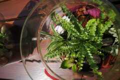 IMG-20240603-WA0018