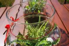 IMG-20240603-WA0019