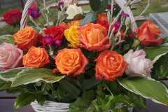 IMG-20240603-WA0027