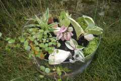 IMG-20240603-WA0028