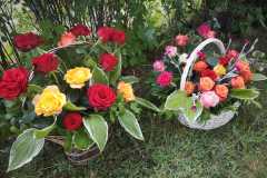 IMG-20240603-WA0029