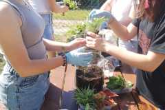 Zdjecie-WhatsApp-2024-06-04-o-07.15.01_e7bd7a64