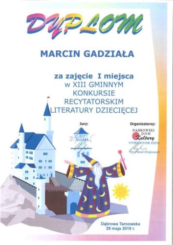 20190530132925438 0001