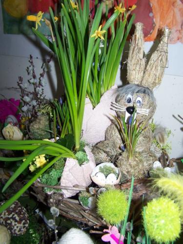 56553760 2440136326219085 6701672239156166656 n