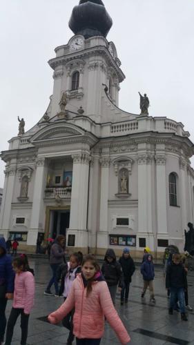 60315228 549019645505508 8273003736842895360 n (1)