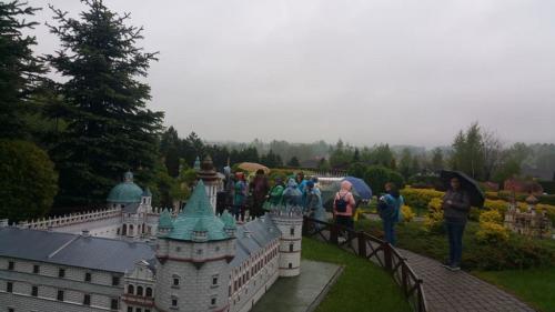 60431563 311887939706572 23051141017239552 n