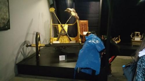 60595913 634784916994325 8212832477681549312 n